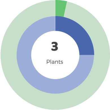 Large Room 3 plants