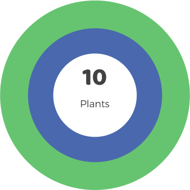 Medium Room 10 plants