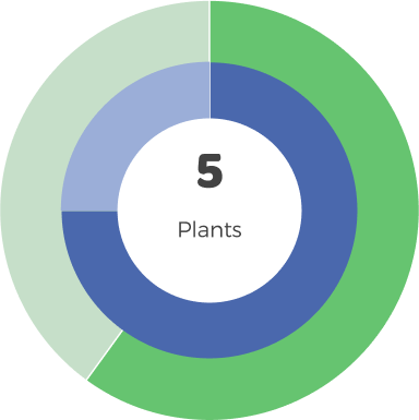 Medium Room 5 plants