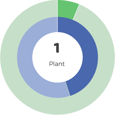 Small Room 1 plant