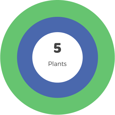 Small Room 5 plants