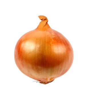 Onion