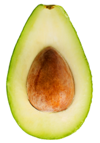 Avocado-lg