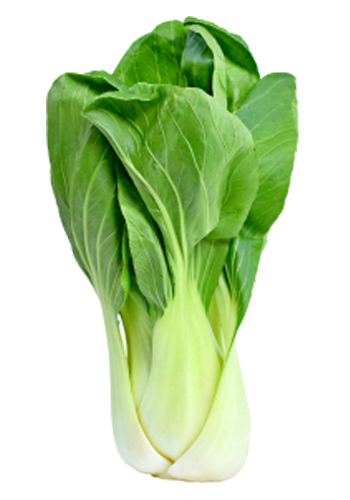 BokChoy-lg