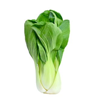 BokChoy