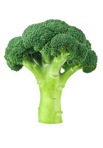 Broccoli sales