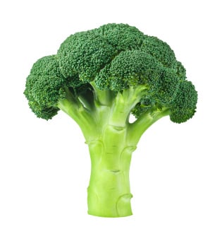 Broccoli