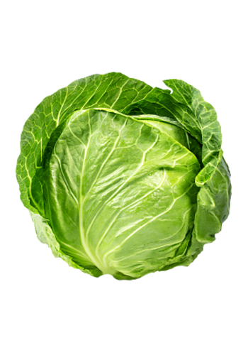 Cabbage-lg