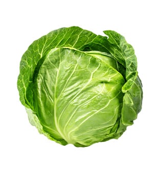 Cabbage