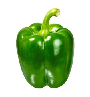 Capsicum