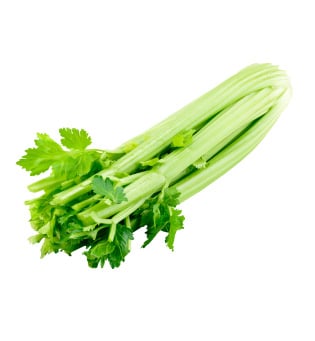 Celery