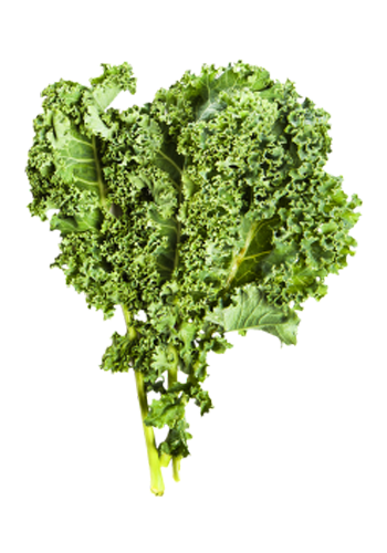 Kale-lg