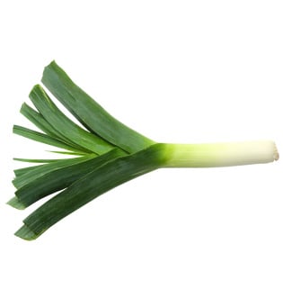 Leek