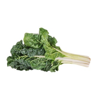 Silverbeet