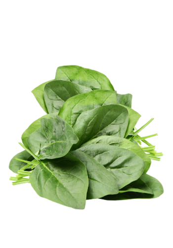 Spinach-lg