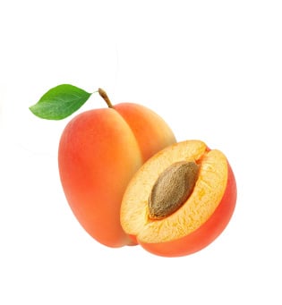 Apricot