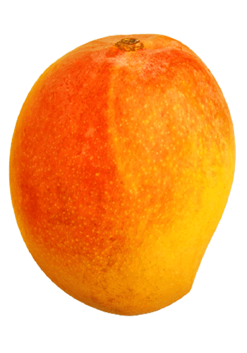 Mango-lg