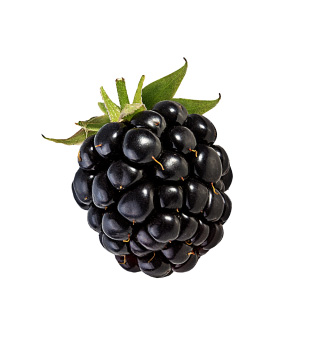 Blackberry