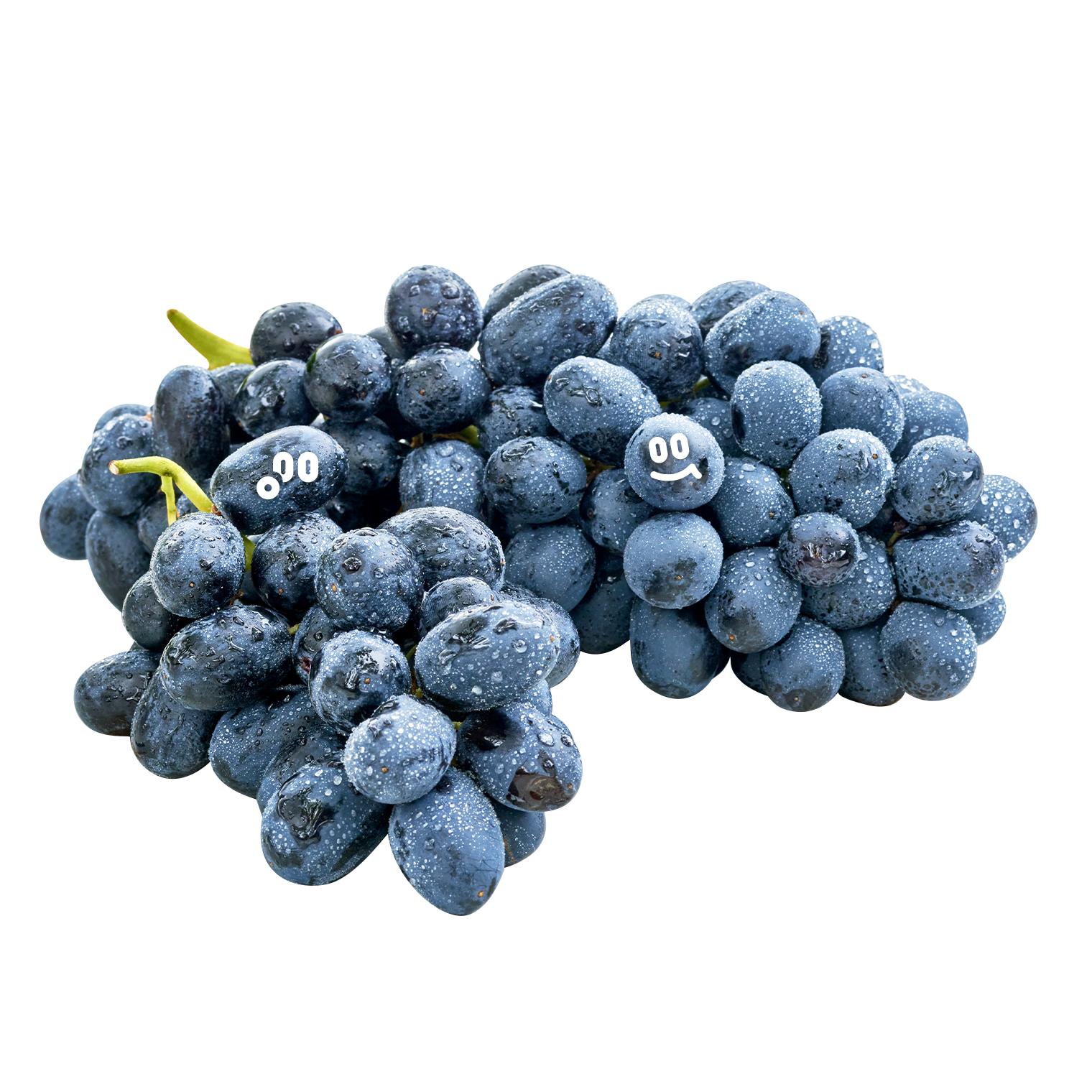 foodemotions-blackgrape