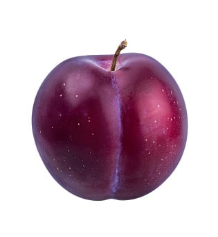 Plum