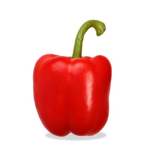 Capsicum