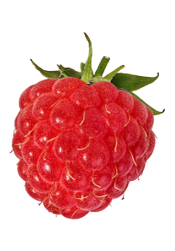 Raspberry-lg