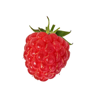 Raspberry