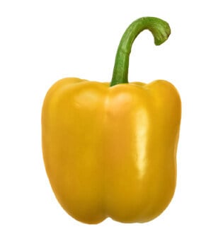 Capsicum