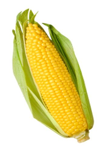 Corn-lg