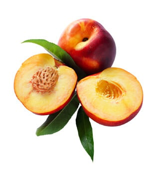 Nectarine