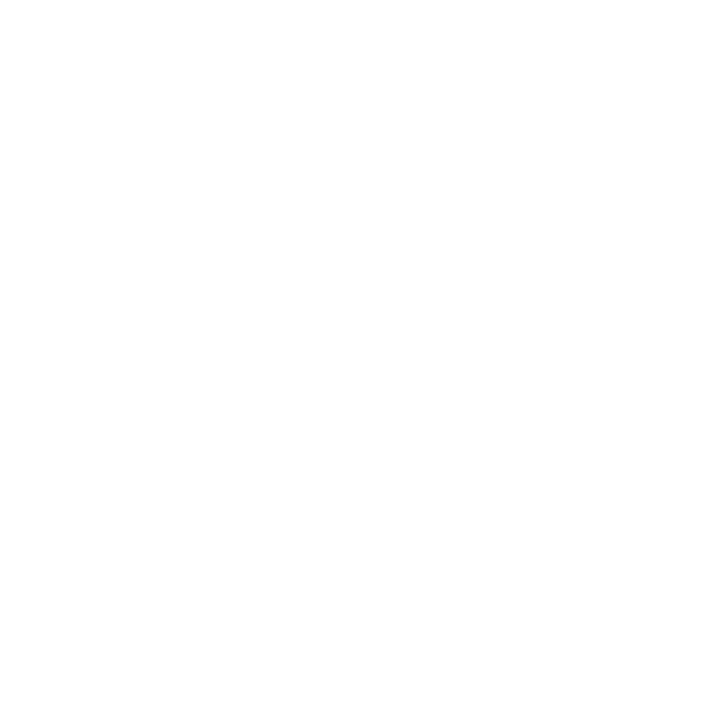 icon-brain-optimiser