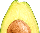 Avocado-mobile-bottom