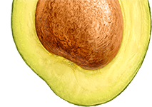 Avocado-mobile-top