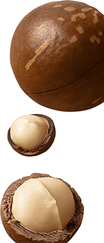 Macadamia-mobile-bottom