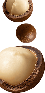 Macadamia-mobile-top