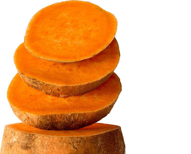 SweetPotota-desktop-bottom